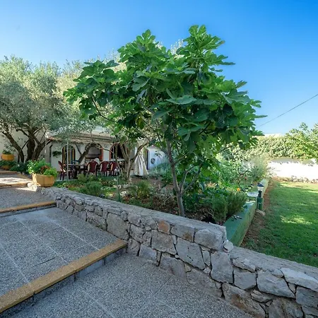 Pataca Casa de hóspedes 3*